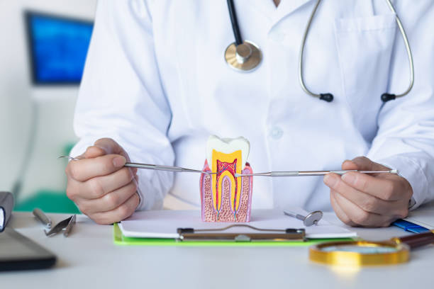 Best Urgent Tooth Repair  in Dexter, MI